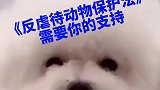 大家一起支持动物保护法立法，不爱也请善待你我它