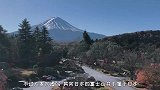 日本“名片”富士山，居然是租来的！每年都要交租金！