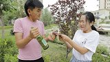 鸡蛋塞入酒瓶用压强可以完成，那砖头塞入酒瓶怎么完成呢？