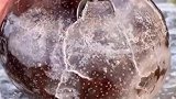 南方人没吃过，东北人的最爱冻果子，冬天吃一口简直爽翻天