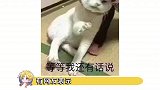 这谁顶得住啊，这不就是单身优质男聚集地吗，快艾特你的姐妹一起