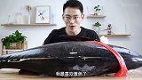 3000多买了一整条黄鳍金枪鱼？我再也不瞎买了！