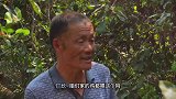 这老母鸡做出来，就是姥姥家的味道