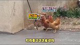 刚铺的水泥路面，就上来印花