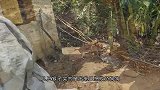 猴子想欺负狗狗，结果反被3只狗追着打，这下猴子要倒霉了！