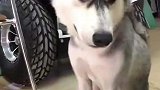 被伤过的心还能爱谁