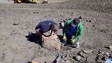 男子野外探险，发现“龙形”生物，浑身坚硬如“盔甲”！