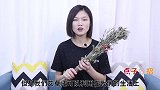 家里放一把艾草，还有这4个用途，现在清楚还不晚，早懂早受益