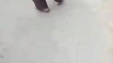 偷狗贼用弩箭偷狗，被抓后被村民绑在了柱子上