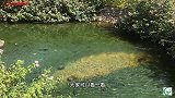 泉水非常“清澈”两边景色“迷人”真是休闲、度假的好地方