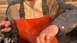 船长炒海鲜一绝