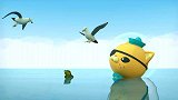 海底小纵队：鳄鱼宝宝危险了，被海鸥盯上了，救援队要保护它呀