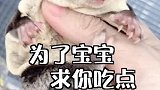 老三，好歹千万人看着你育儿袋宝宝出来