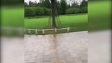 中超-17赛季-申花门神太敬业 雨天不停歇坚持公园跑步-专题