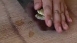 排骨加个鸡蛋做美食，出锅超鲜嫩，连汁都不能放过！