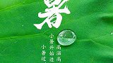 小暑期间将入伏！2020年三伏天有40天！