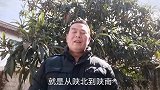 陕北养蜂大叔的小狗生病了，西部民工去送药，结果没料到！