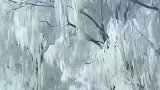 配一首完全不应景的歌曲，呵呵开心快乐就好