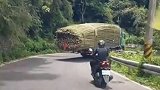 一看就是一位司机，农村公路拍到的一幕，这样算是超载吗