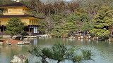 京都，金阁寺，日本旅行的第三天