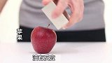 磁铁靠近苹果，没想到会有如此神奇的反应，我也是今天才知道