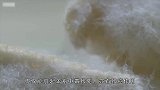 常见霉菌能致癌，你家厨房有吗网友以后不敢乱吃东西了