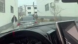 两小伙看见伴娘过来，跳舞引注意