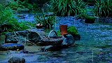 静不是耳边无声，而是内心无争。情感 修行 茶生话 唯美意境
