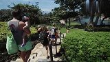 五胞胎旅行第一天,老三黑兹尔的帽子造型,可爱爆了
