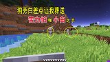 我的世界联机55：小帕化身采花使者，满世界的给旁白收染料