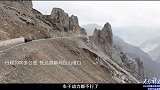 “光影新重庆”2024 年重庆微视频大赛｜崖柏进藏记