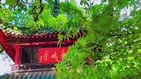 长沙爱晚亭即将启动全封闭式修缮工作，预计国庆节前“焕新颜”爱晚亭