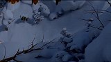 熊出没之雪岭熊风：熊二跑得太慢了，它根本就跟不上大白熊