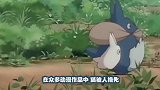 日本著名的猫岛，1000多只“聚众被撸”游客请节制