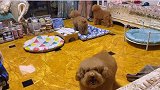 我们家晚上的日常记录