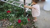 路边的花儿碰到我们家宝宝真是遭殃了啊，看到了就想动手去摘掉