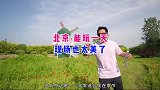 北京这里有风车和花海，几千只蝴蝶在身边飞舞，宛如一幅画，太美了