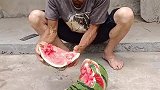 70岁老爷子徒手开西瓜