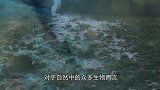 不可思议的自然现象，南极“死亡冰柱”，所到之处无一生还！