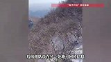37岁男子独自爬野山在“鬼子石刻”附近不幸遇难