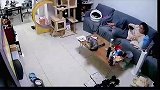 灰猫猫正在桌上看电视，突然被窜出的猫咪打了一耳光