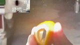 网友用橘子皮，在阳光下制造出小彩虹