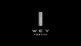 顶级专业造就顶级品质 探秘WEY智能工厂