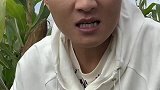我才休息了三天啊大哥些，你们就到处克说我着按掉了