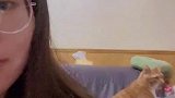 这猫难道还有第三只眼，不然怎会如此同步