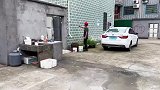 这是最值钱的字，大家同意吧
