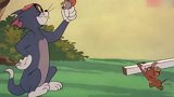 猫和老鼠：三个臭皮匠赛过诸葛亮，汤姆被三只小老鼠欺负得贼惨