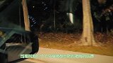 农夫在半夜听到有动物惨叫声，起身一看乐坏了镜头记录下全过程