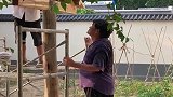 大衣哥准备把老院子供人参观，新院子用来住，这样分开能安静些