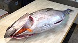 日本大厨现场切割金枪鱼，侧面看起来像艺术品，切一条加工费2万